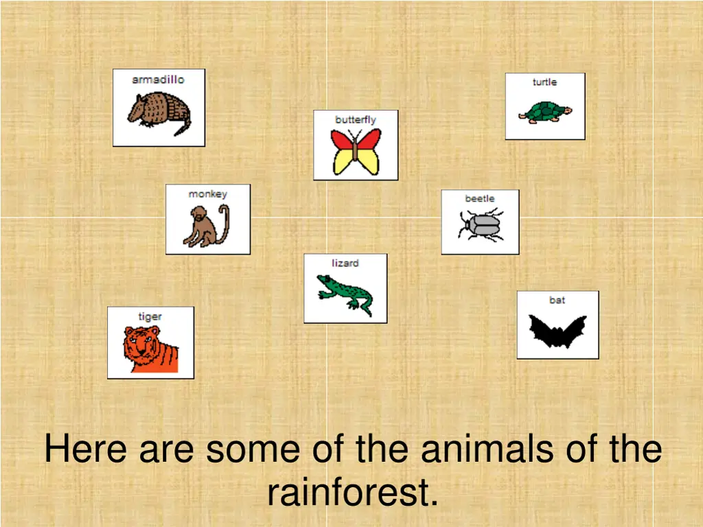 here are some of the animals of the rainforest