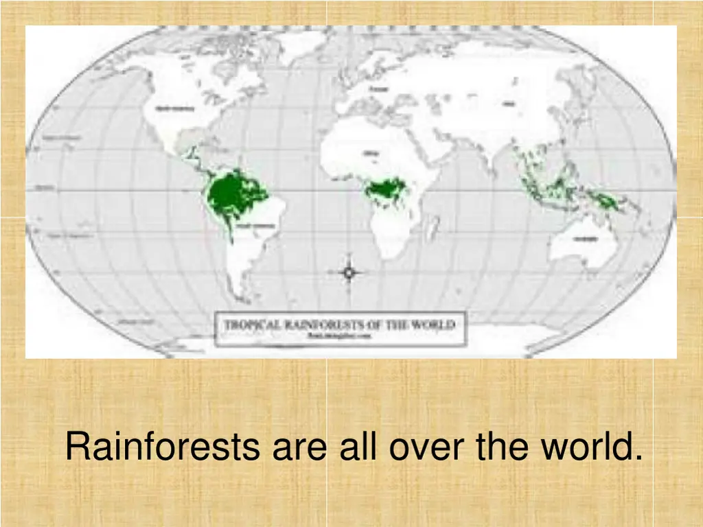 rainforests are all over the world