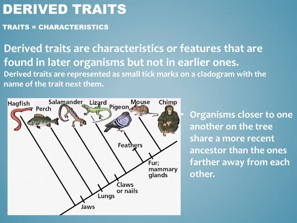 derived traits