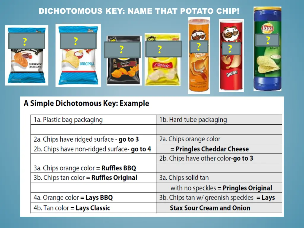 dichotomous key name that potato chip