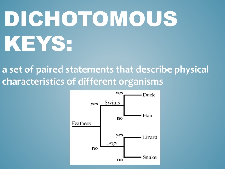 dichotomous keys