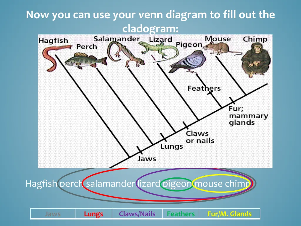 now you can use your venn diagram to fill