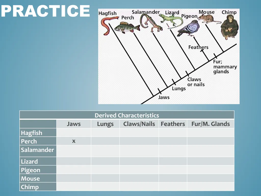 practice 1