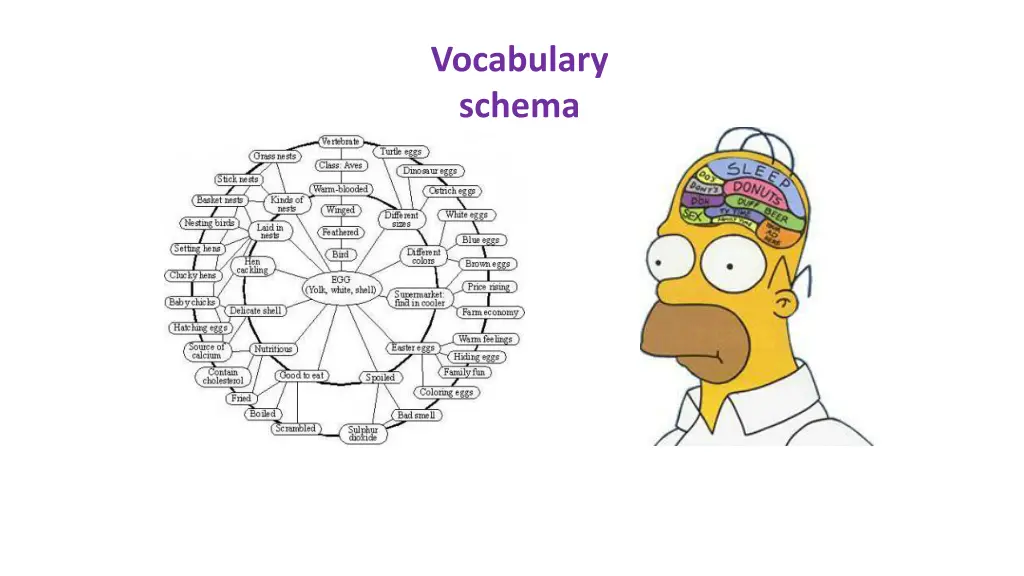 vocabulary schema