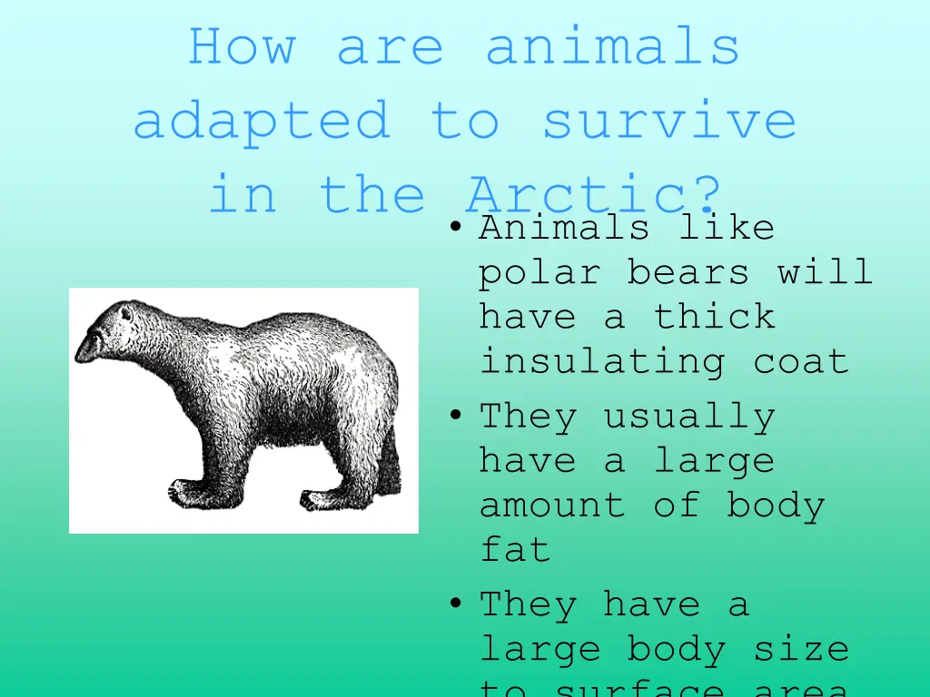 how are animals adapted to survive in the arctic