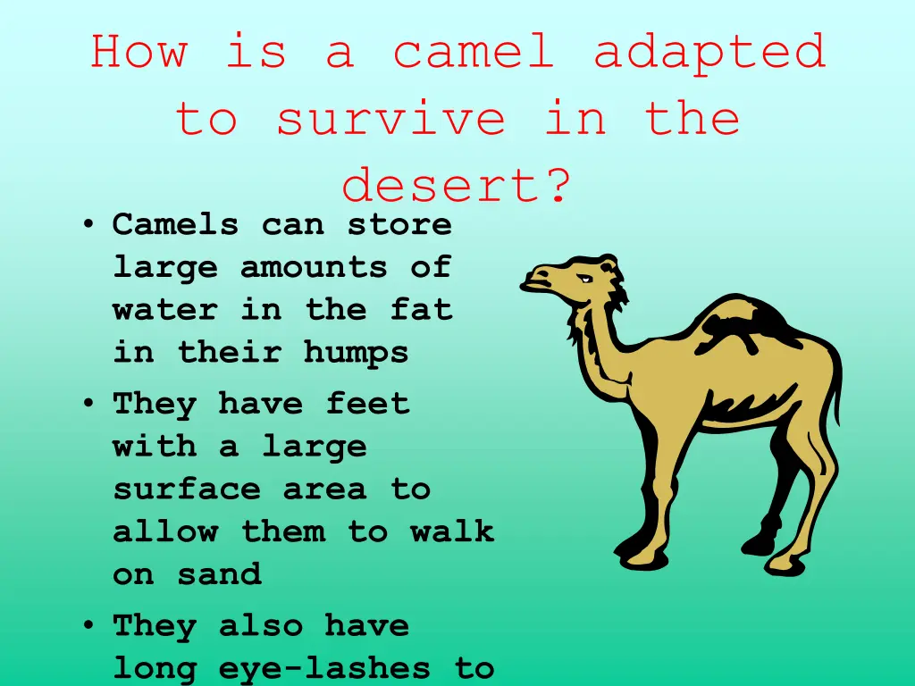 how is a camel adapted to survive in the desert