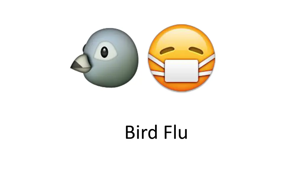 bird flu