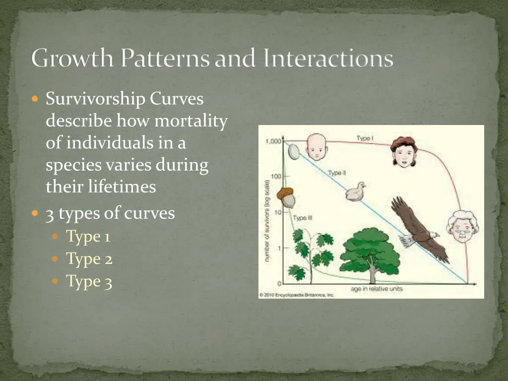 growth patterns and interactions