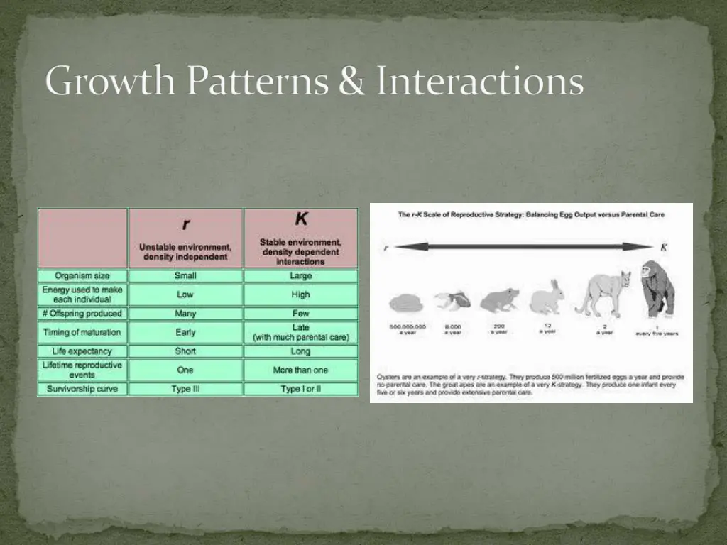 growth patterns interactions 12