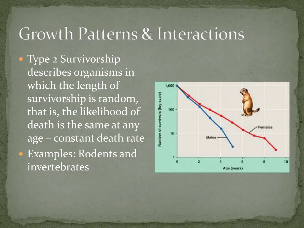 growth patterns interactions 2