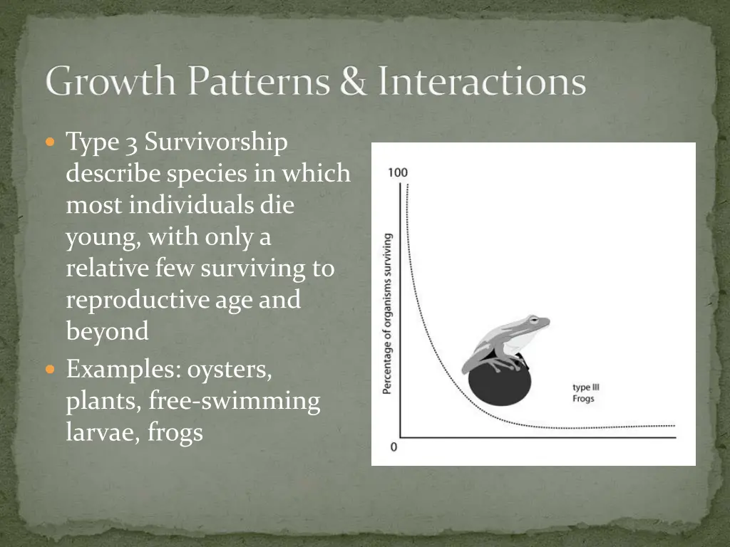 growth patterns interactions 3