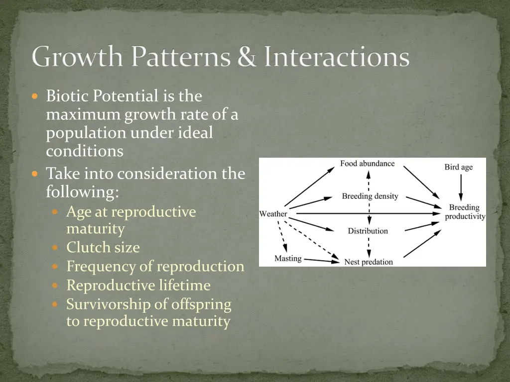 growth patterns interactions 4