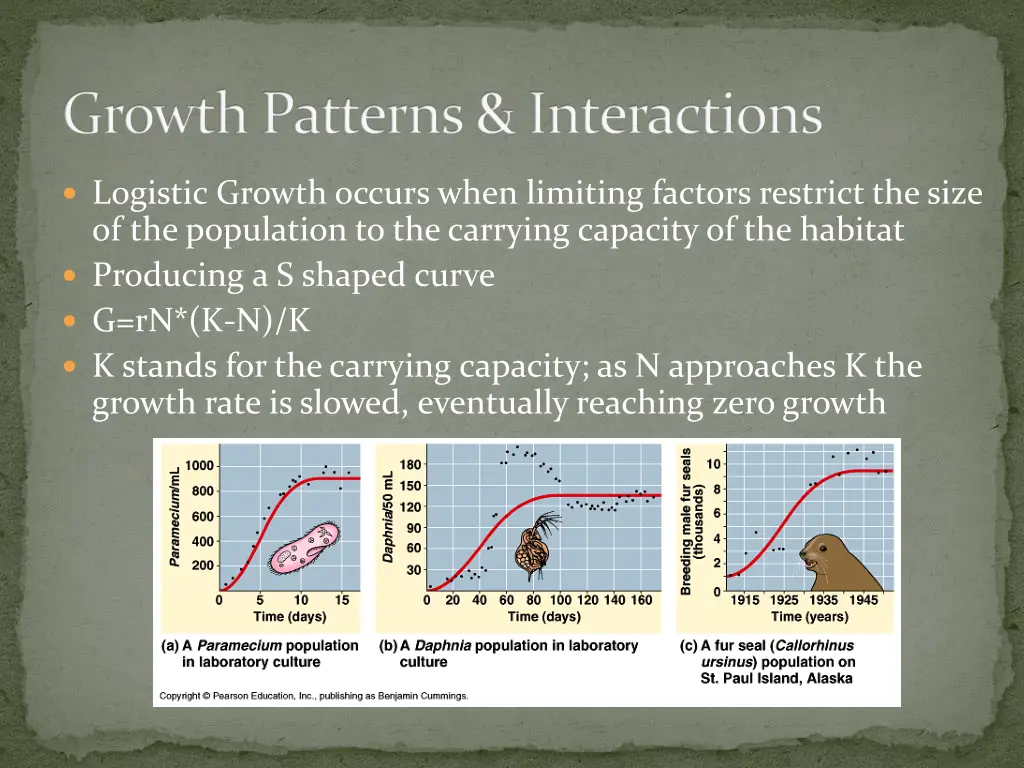 growth patterns interactions 8