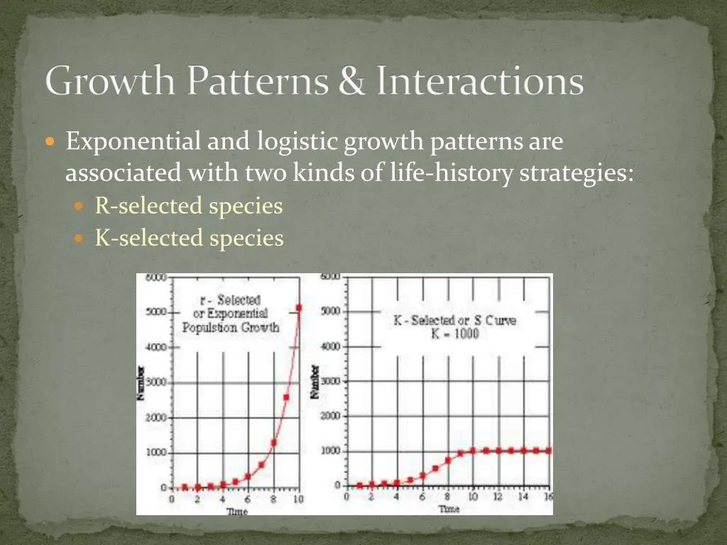 growth patterns interactions 9