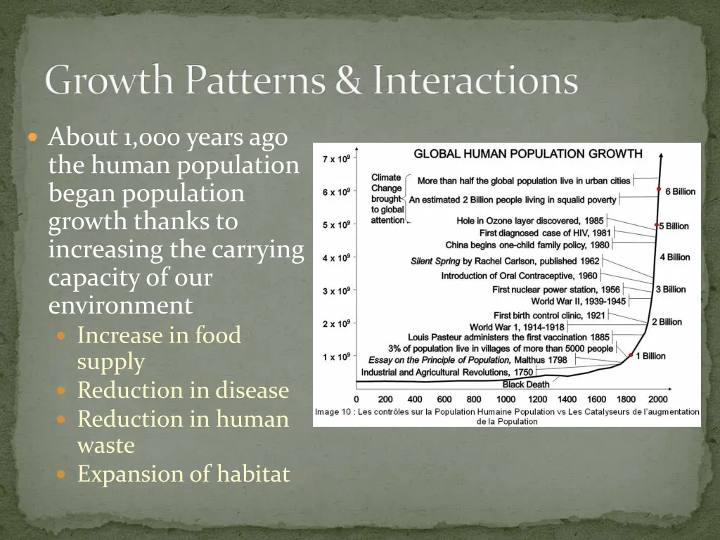 growth patterns interactions