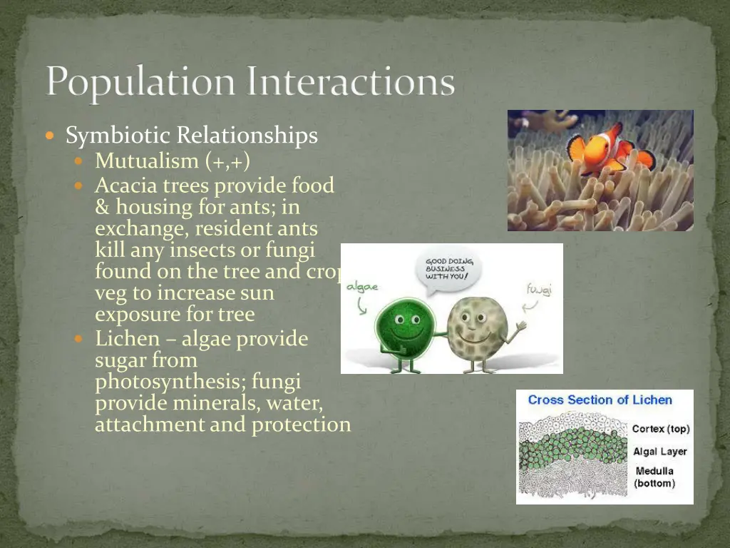 population interactions 1