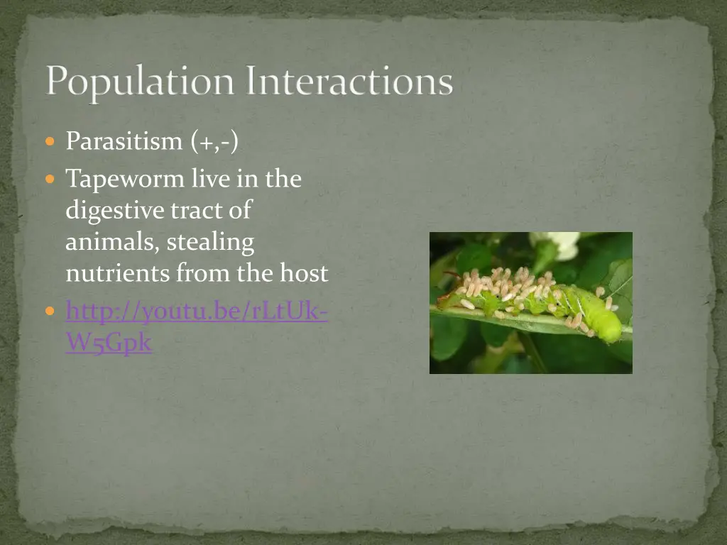 population interactions 3