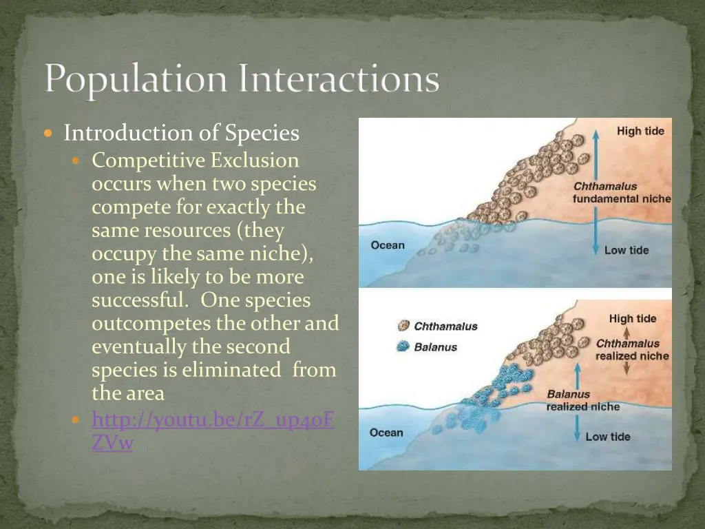 population interactions 4