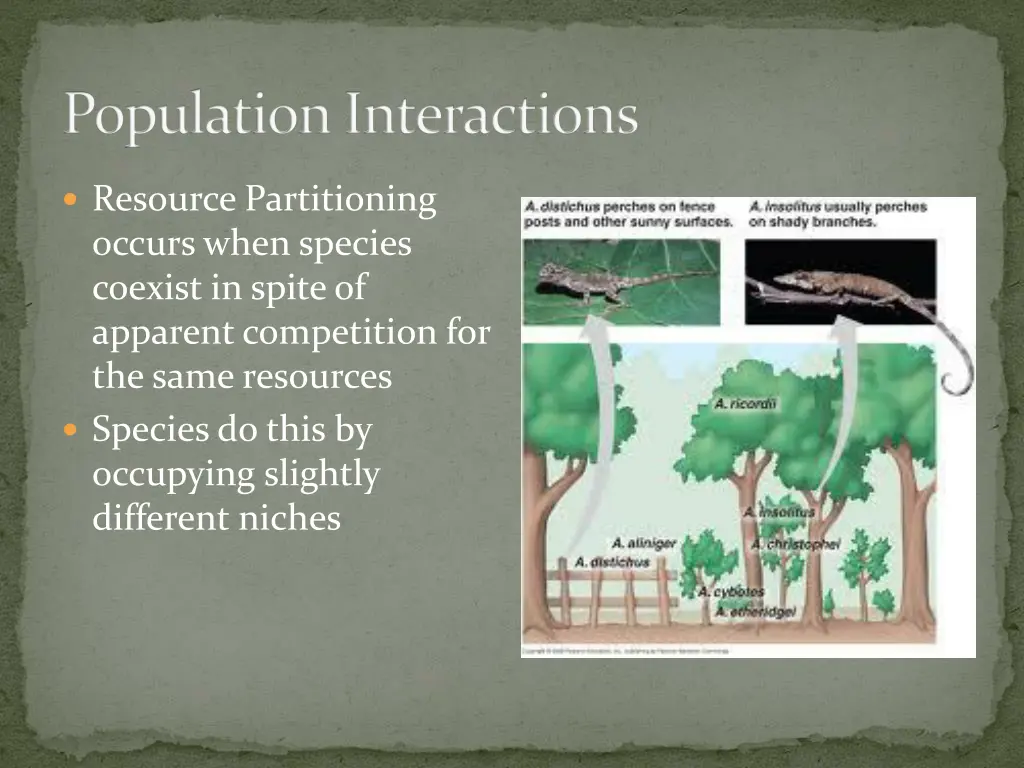 population interactions 5