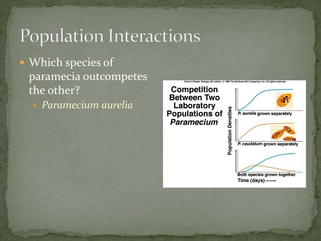 population interactions 6