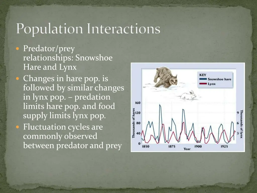 population interactions