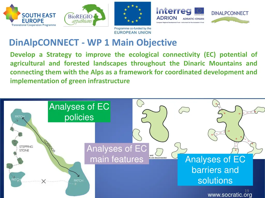 dinalpconnect wp 1 main objective