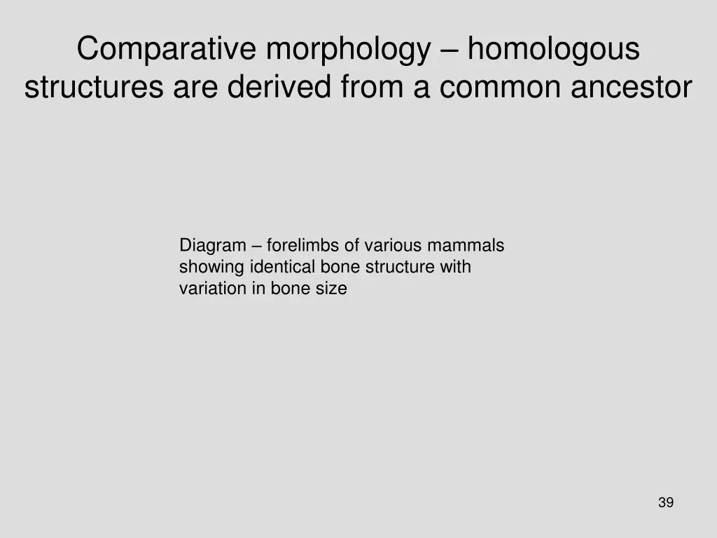 comparative morphology homologous structures