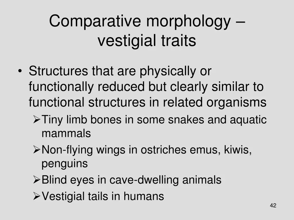 comparative morphology vestigial traits