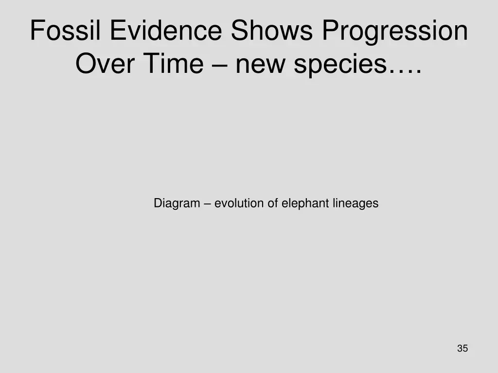 fossil evidence shows progression over time