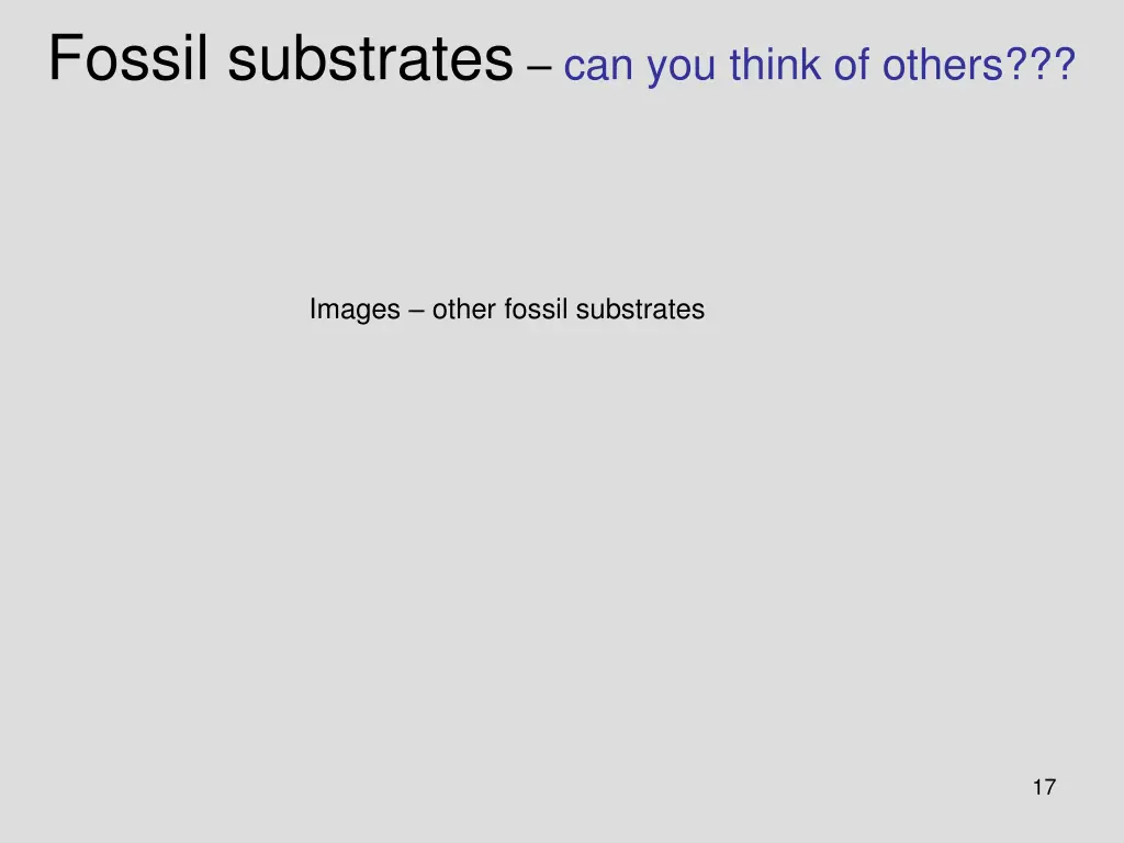 fossil substrates can you think of others