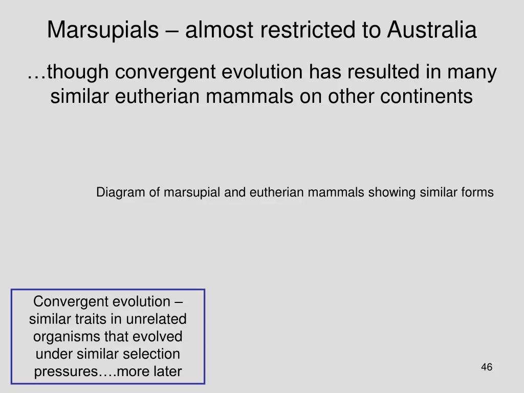 marsupials almost restricted to australia