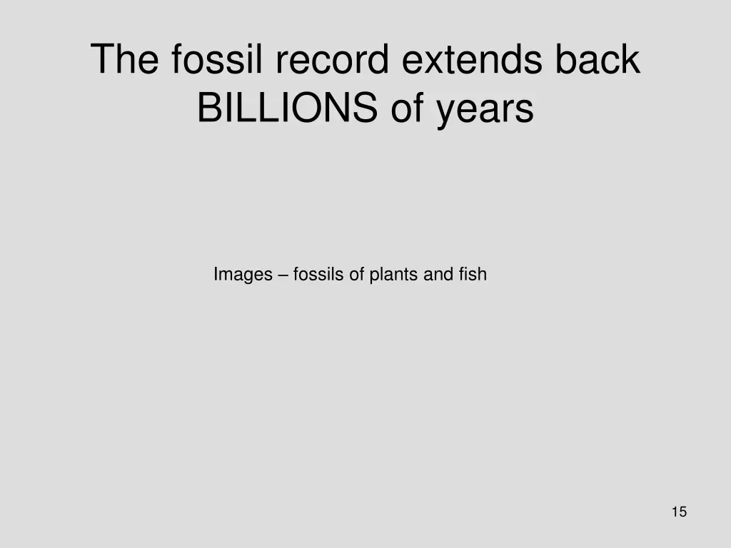 the fossil record extends back billions of years