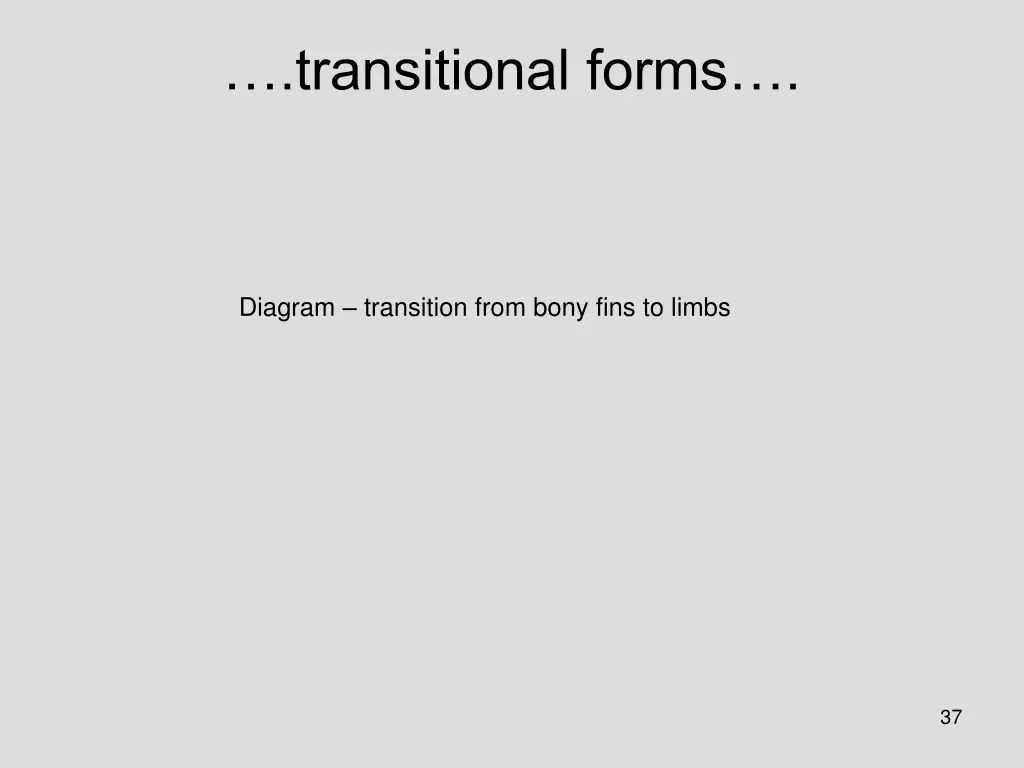 transitional forms