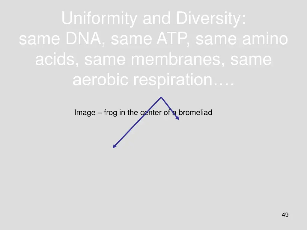 uniformity and diversity same dna same atp same