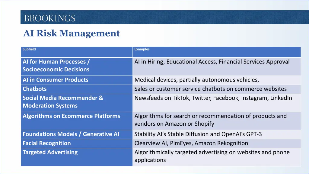 ai risk management