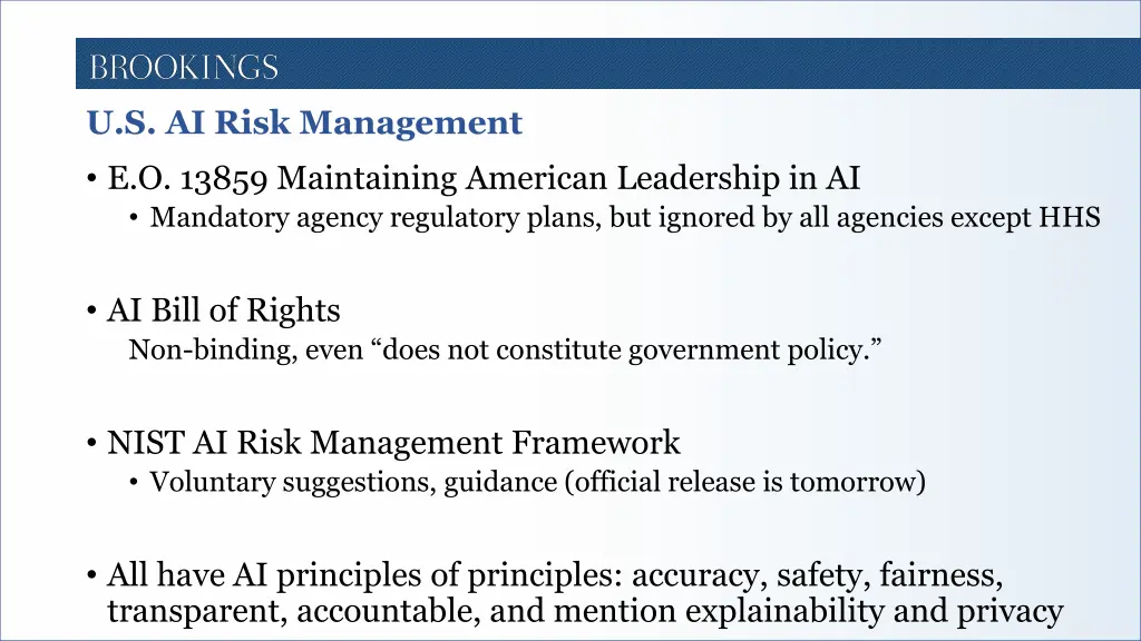 u s ai risk management