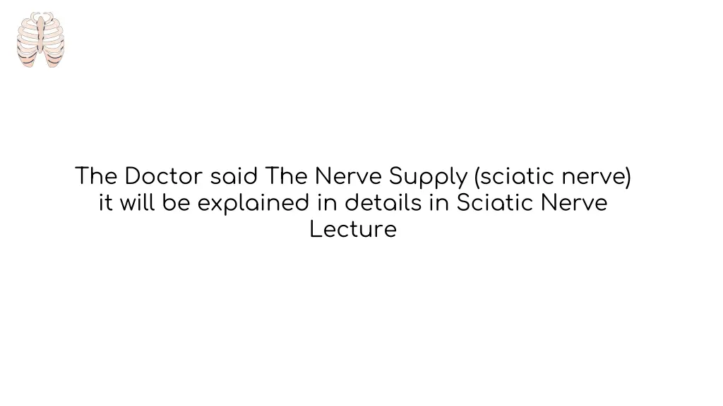 the doctor said the nerve supply sciatic nerve