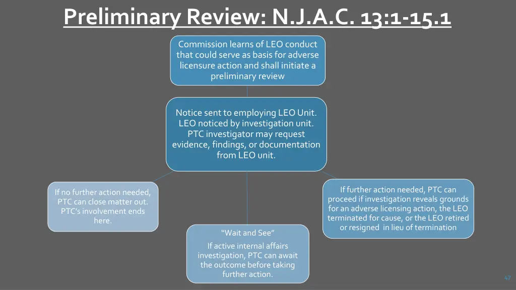 preliminary review n j a c 13 1 15 1