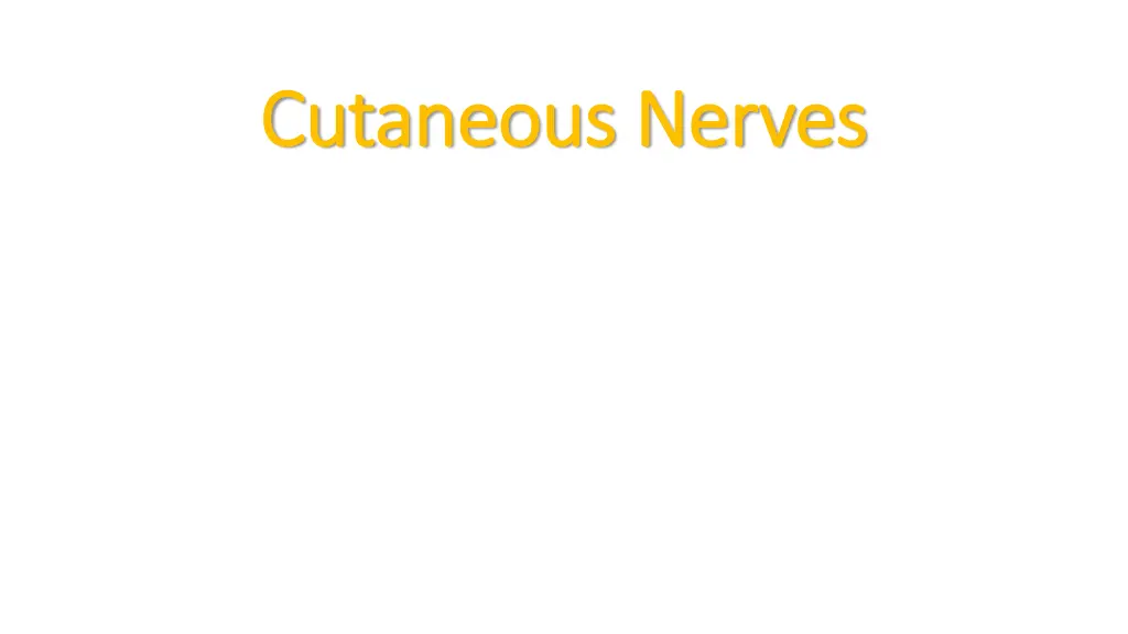 cutaneous nerves cutaneous nerves