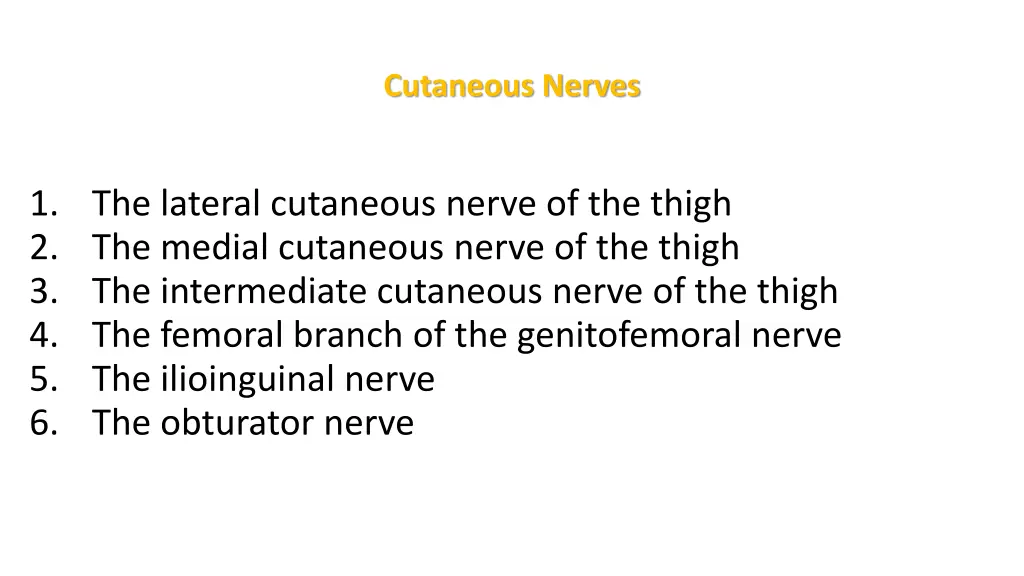 cutaneous nerves