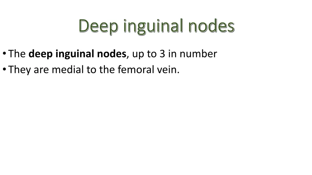 deep inguinal nodes deep inguinal nodes 1