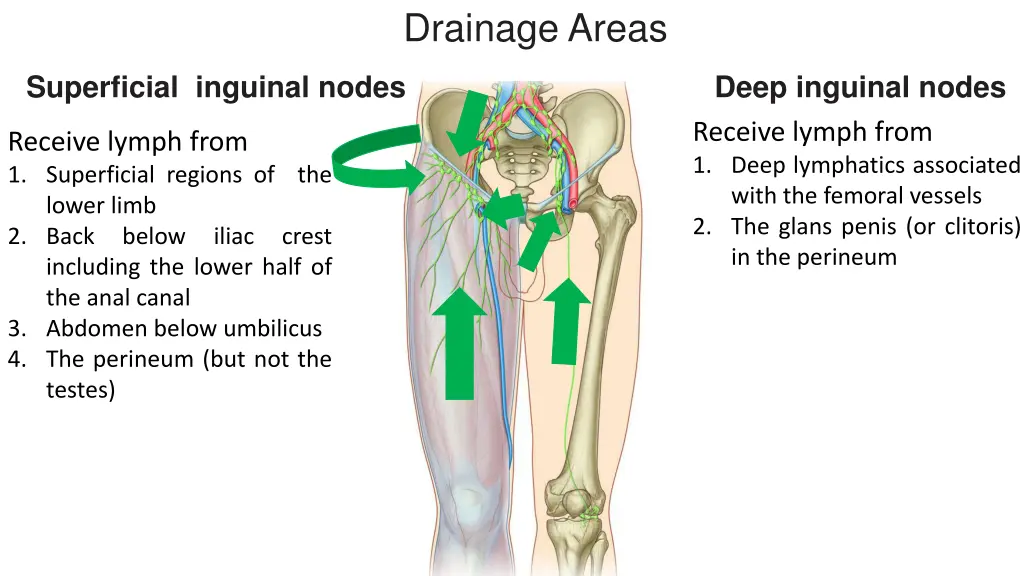 drainage areas