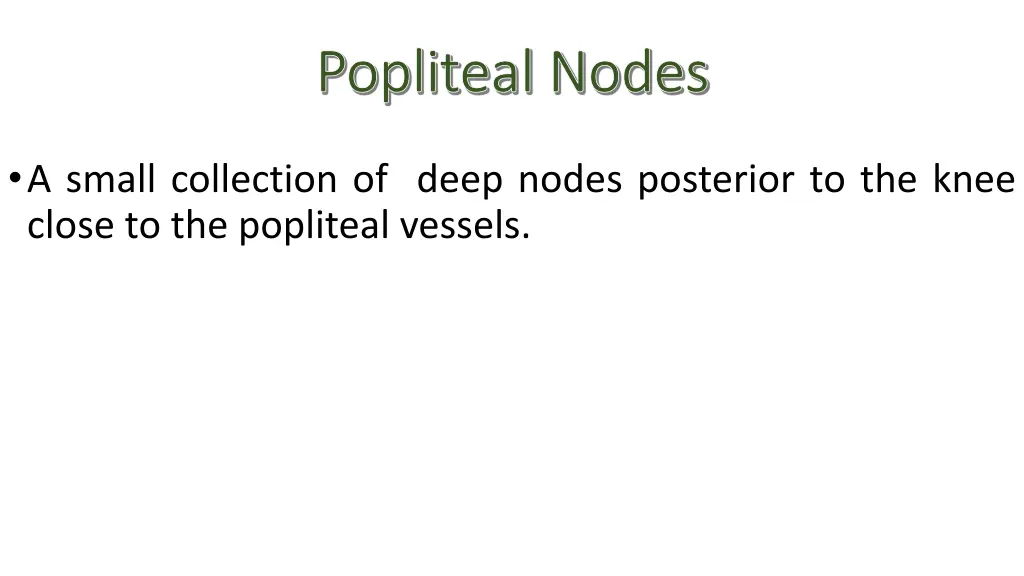 popliteal nodes popliteal nodes 1