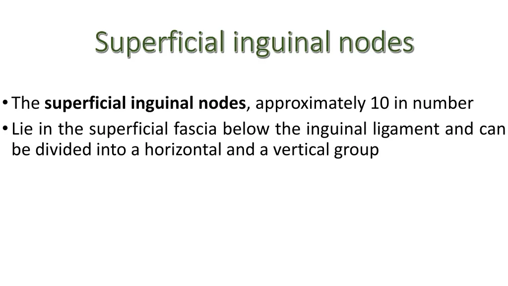 superficial inguinal nodes superficial inguinal 1