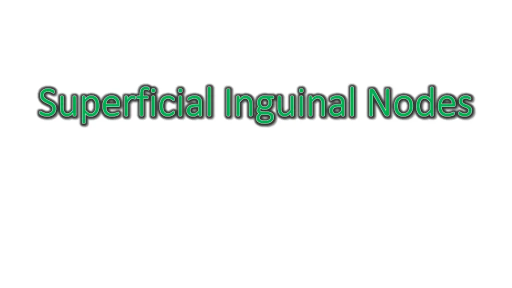 superficial inguinal nodes superficial inguinal