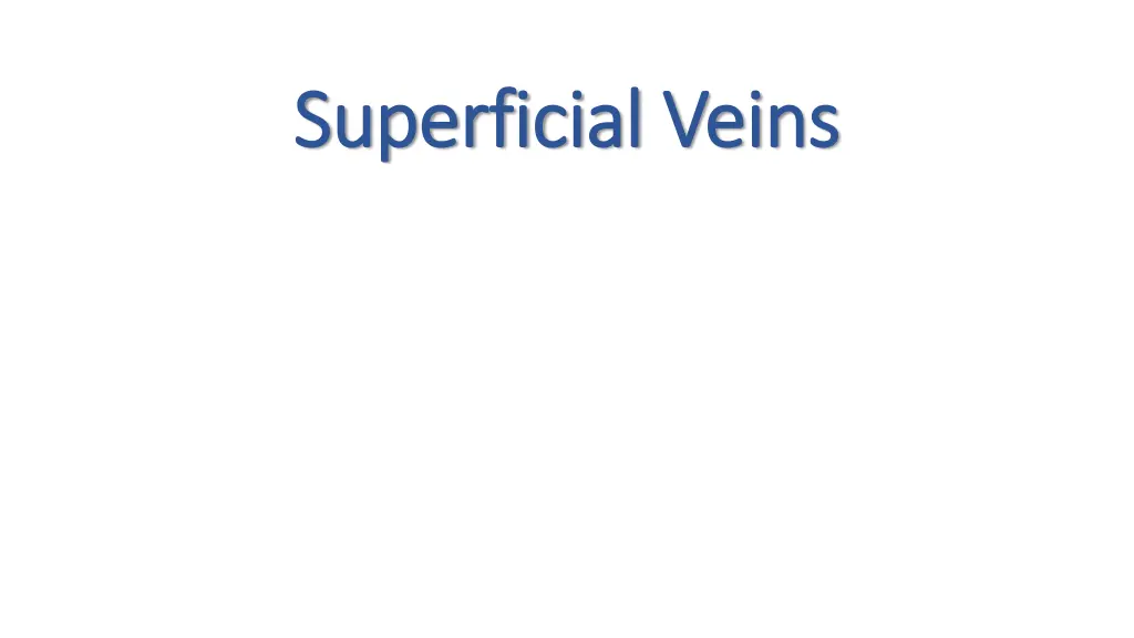 superficial veins superficial veins