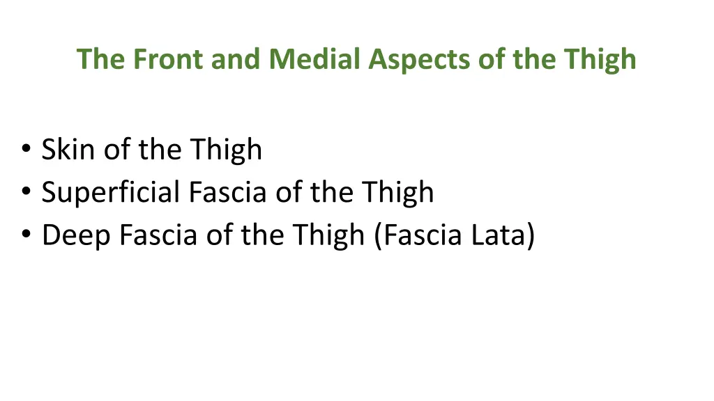 the front and medial aspects of the thigh