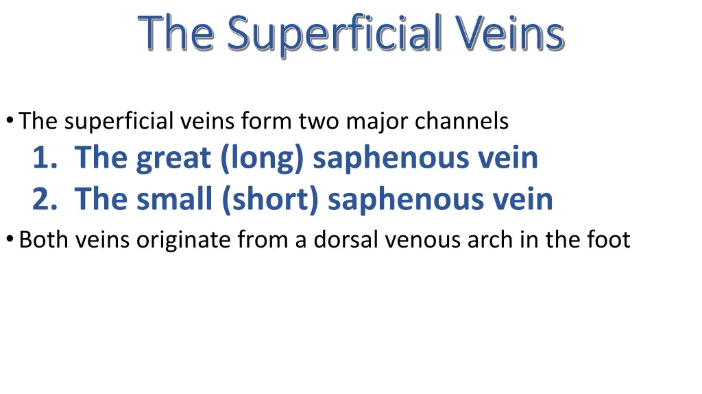 the superficial veins the superficial veins