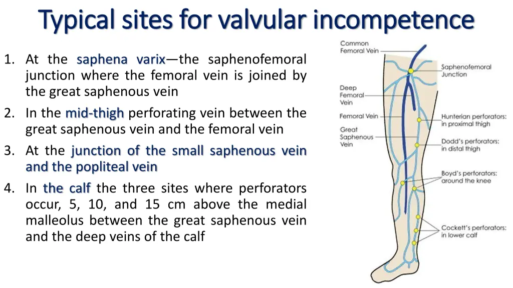 typical sites for valvular incompetence typical