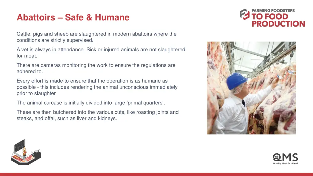 abattoirs safe humane